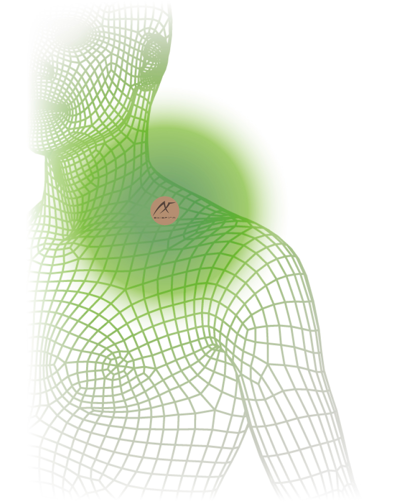 カラーバンドBL